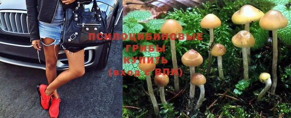 каннабис Арсеньев