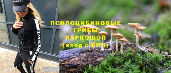альфа пвп Новодвинск