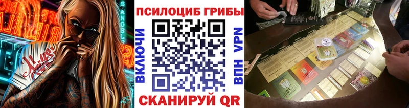 Псилоцибиновые грибы GOLDEN TEACHER  дарнет шоп  Усть-Джегута 