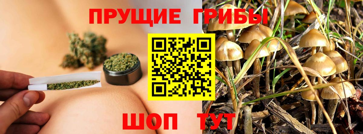 Псилоцибиновые грибы MAGIC MUSHROOMS Усть-Джегута